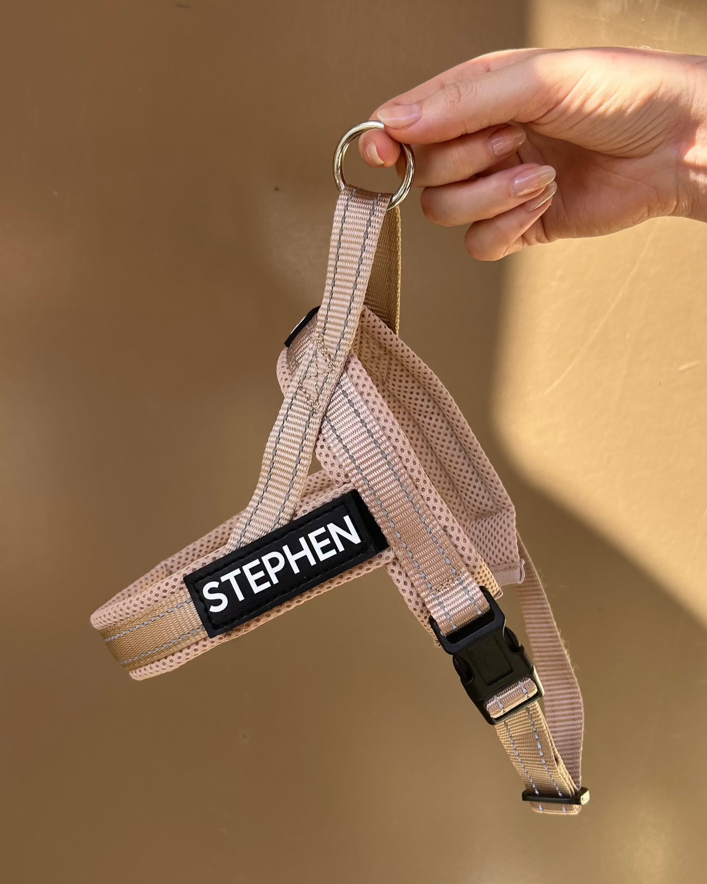 No-Pull Personalised Dog Harness - Neutral Beige