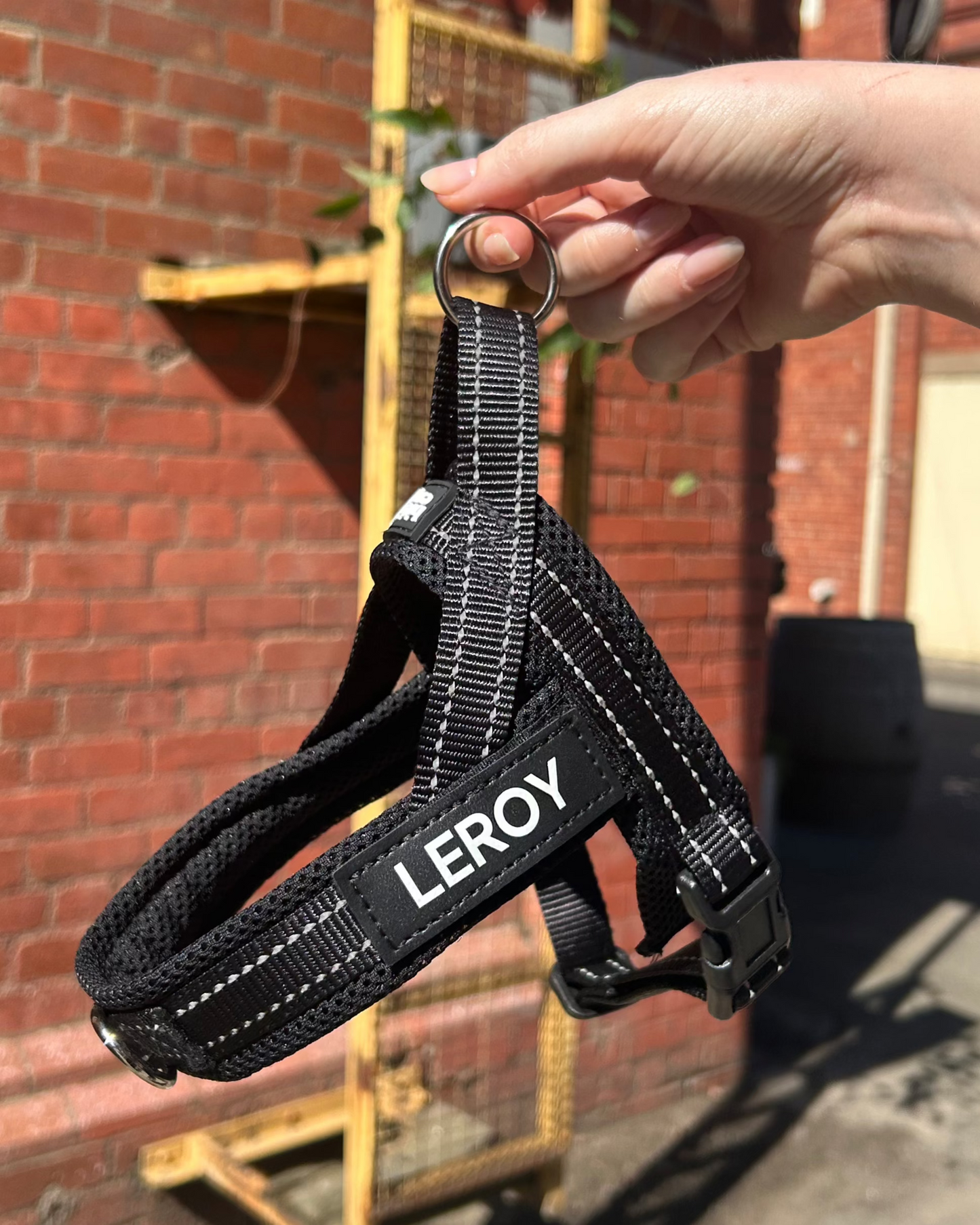 No-Pull Personalised Dog Harness - Classic Black