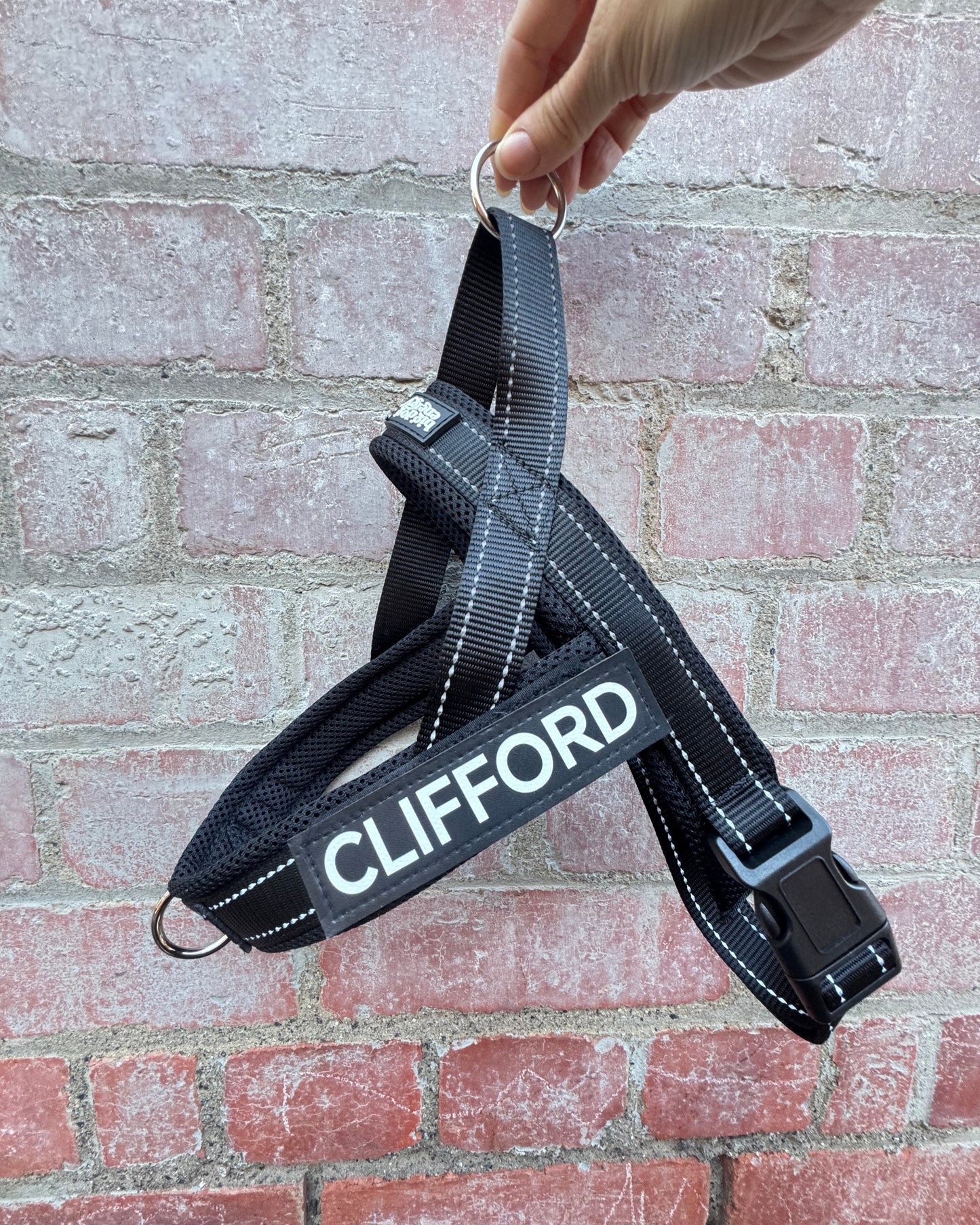 Black dog harness