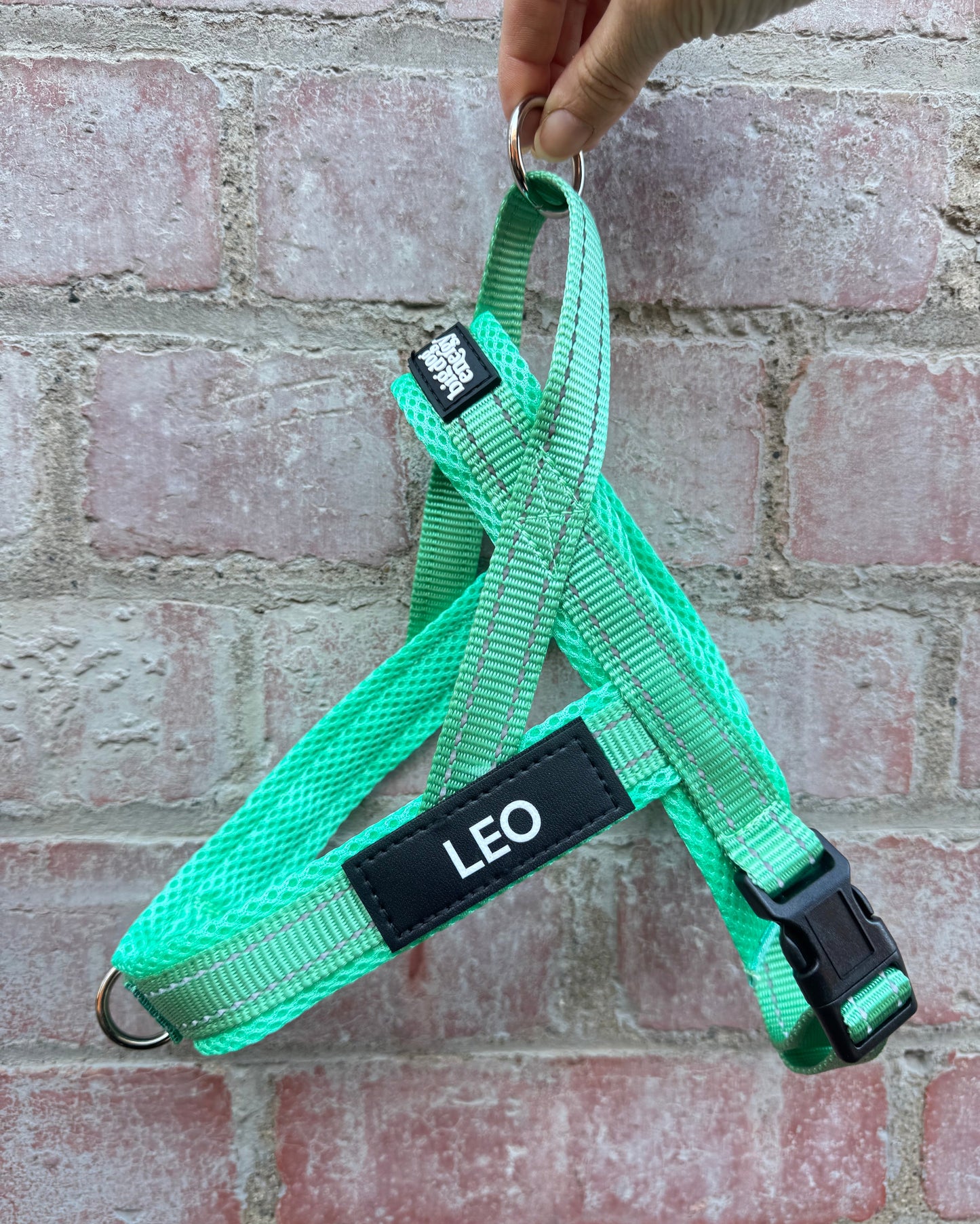No-Pull Personalised Dog Harness - Turquoise