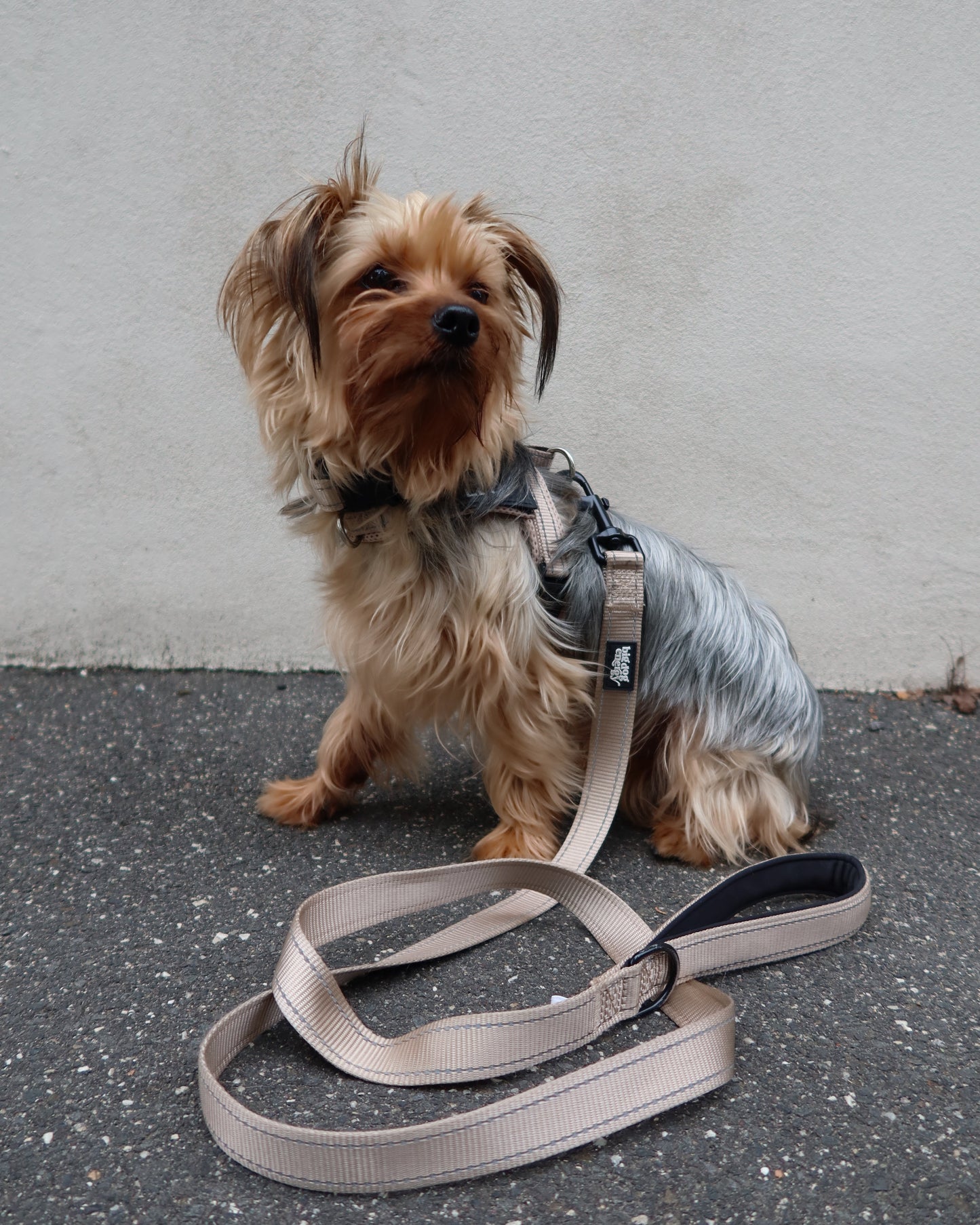 Durable Dog Leash - Neutral Beige