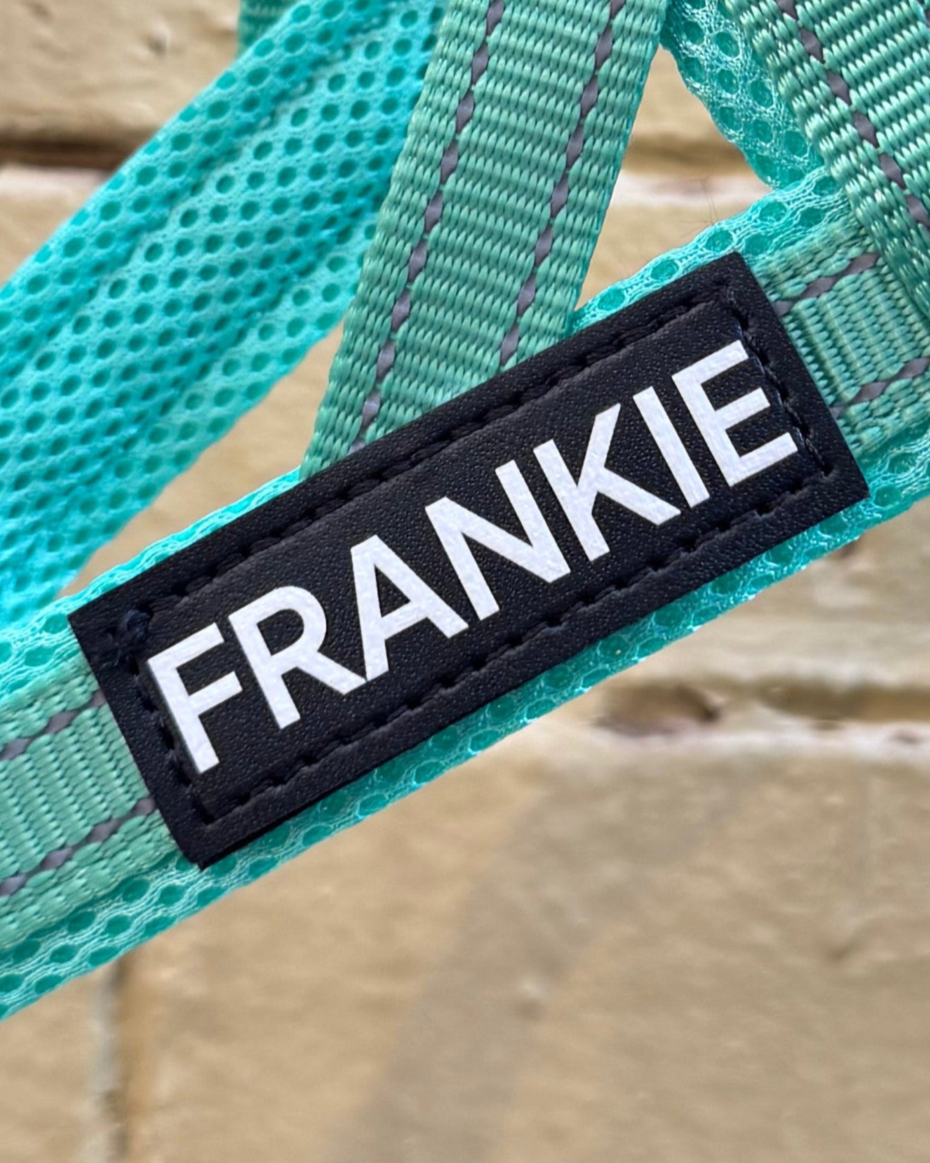 No-Pull Personalised Dog Harness - Turquoise