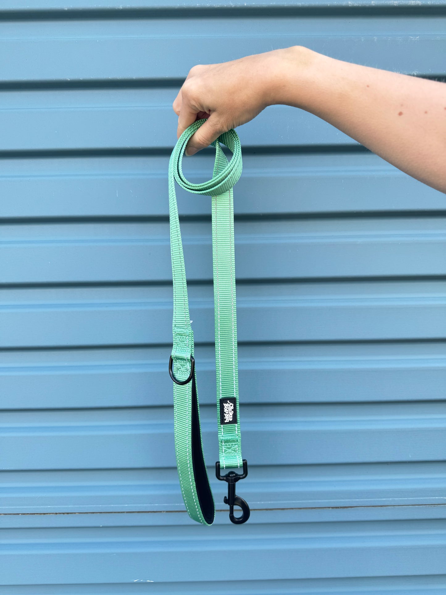 Durable Dog Leash - Turquoise