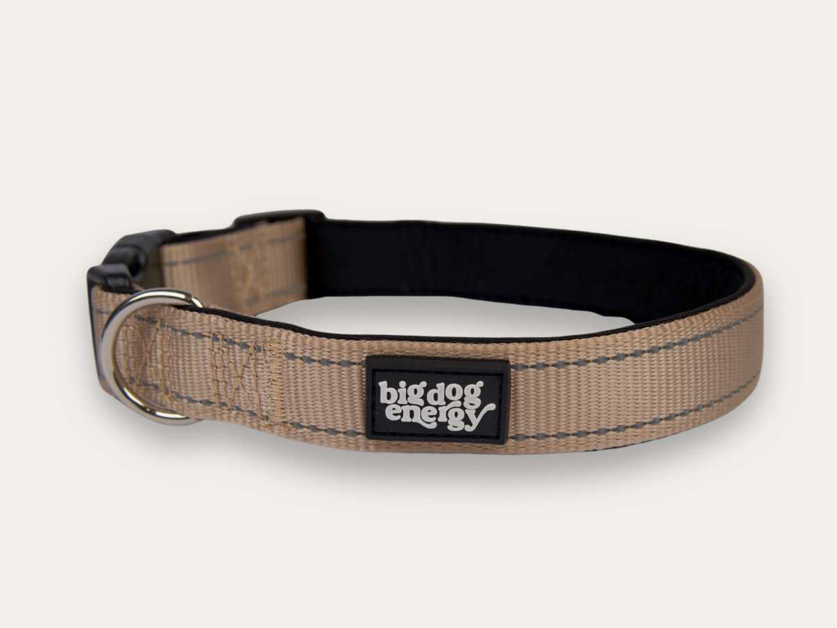 Dog Collars