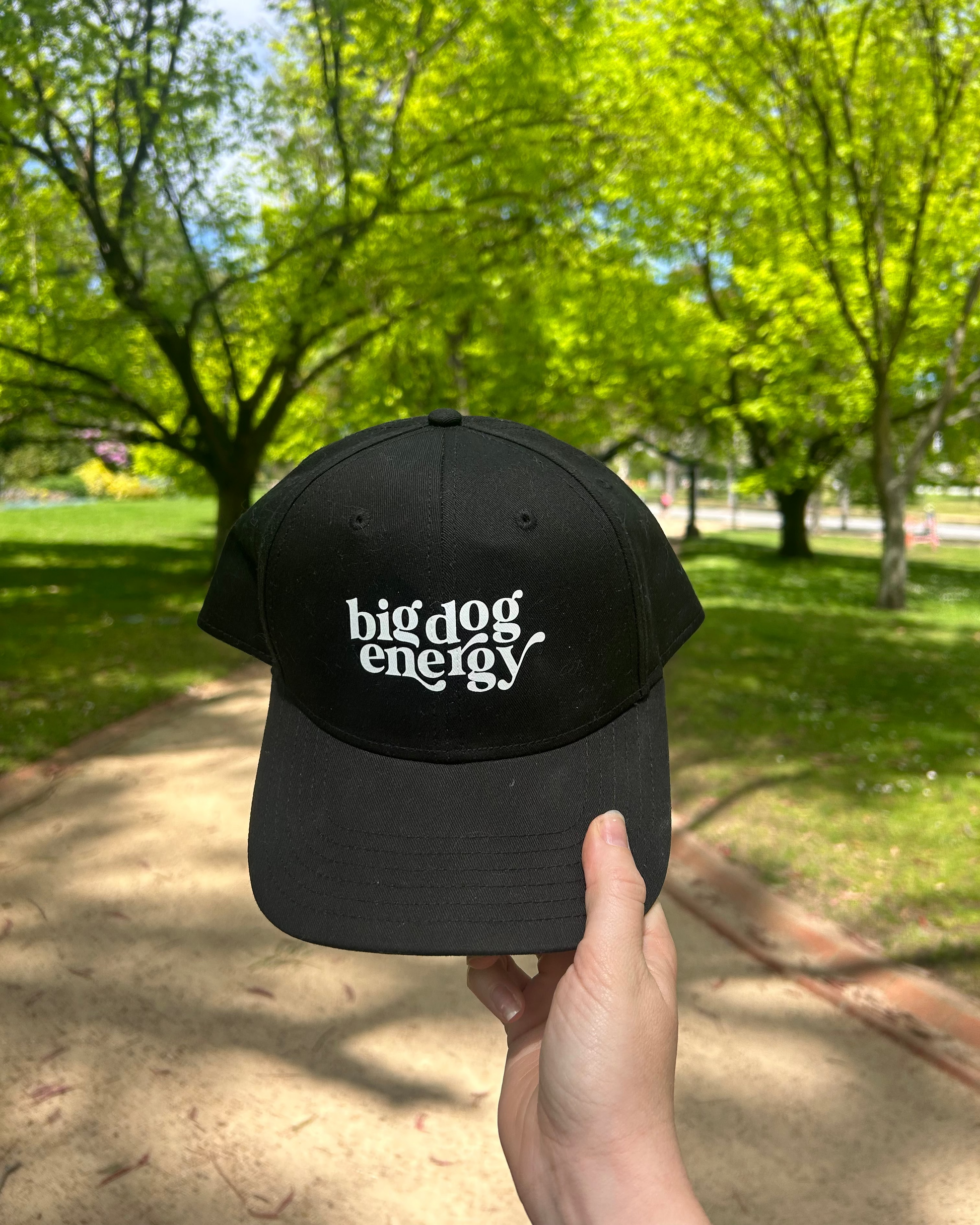 Baseball cap in the park