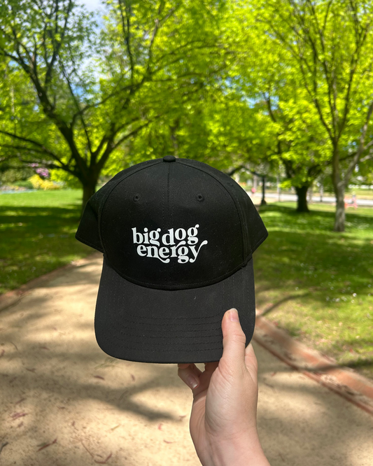 Baseball cap in the park