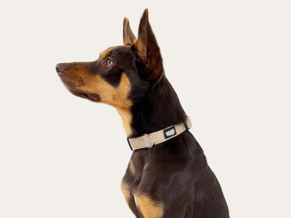 Dog Collar - Neutral Beige