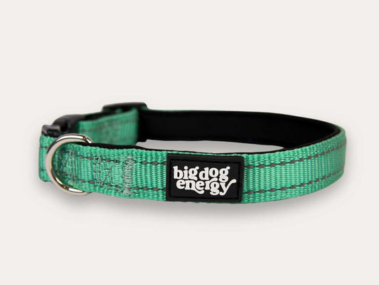 Dog Collar - Turquoise