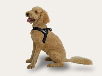 Dog Harness - Classic Black