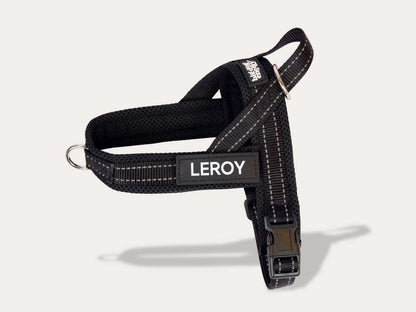 Dog Harness - Classic Black