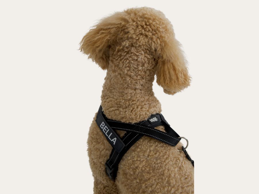 Dog Harness - Classic Black