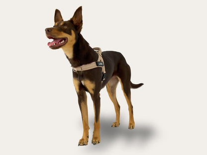 Dog Harness - Neutral Beige