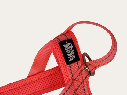 Dog Harness - Pink