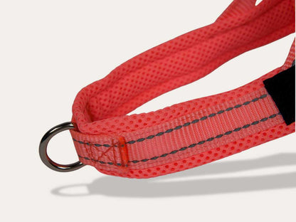 Dog Harness - Pink