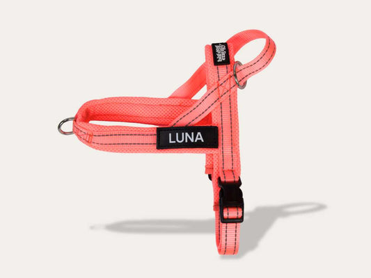 Dog Harness - Pink