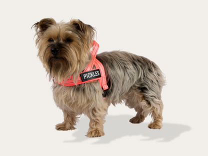 Dog Harness - Pink