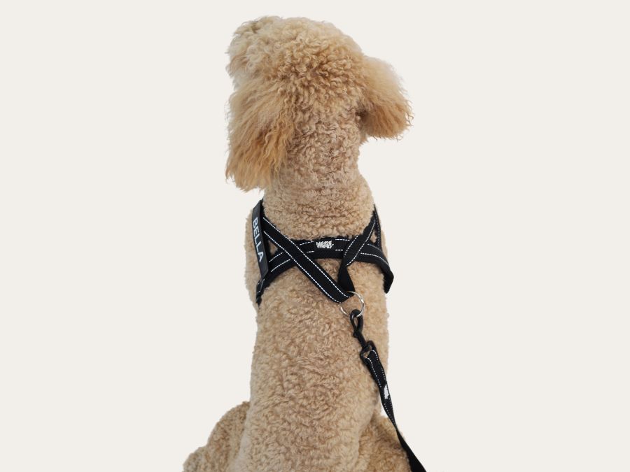 Dog Harness - Classic Black