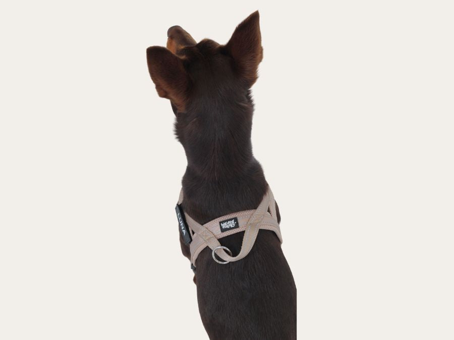 Dog Harness - Neutral Beige