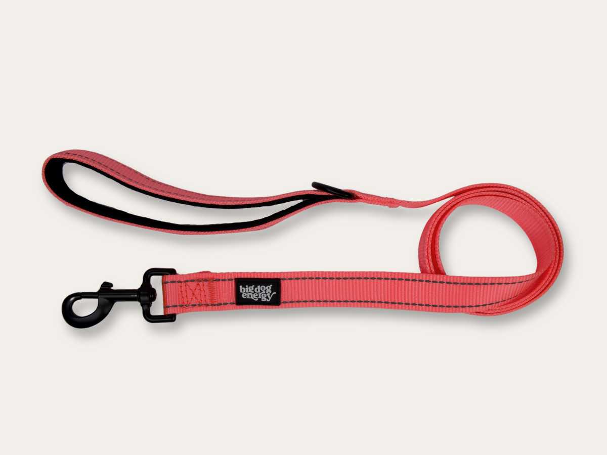 Dog Leash - Pink