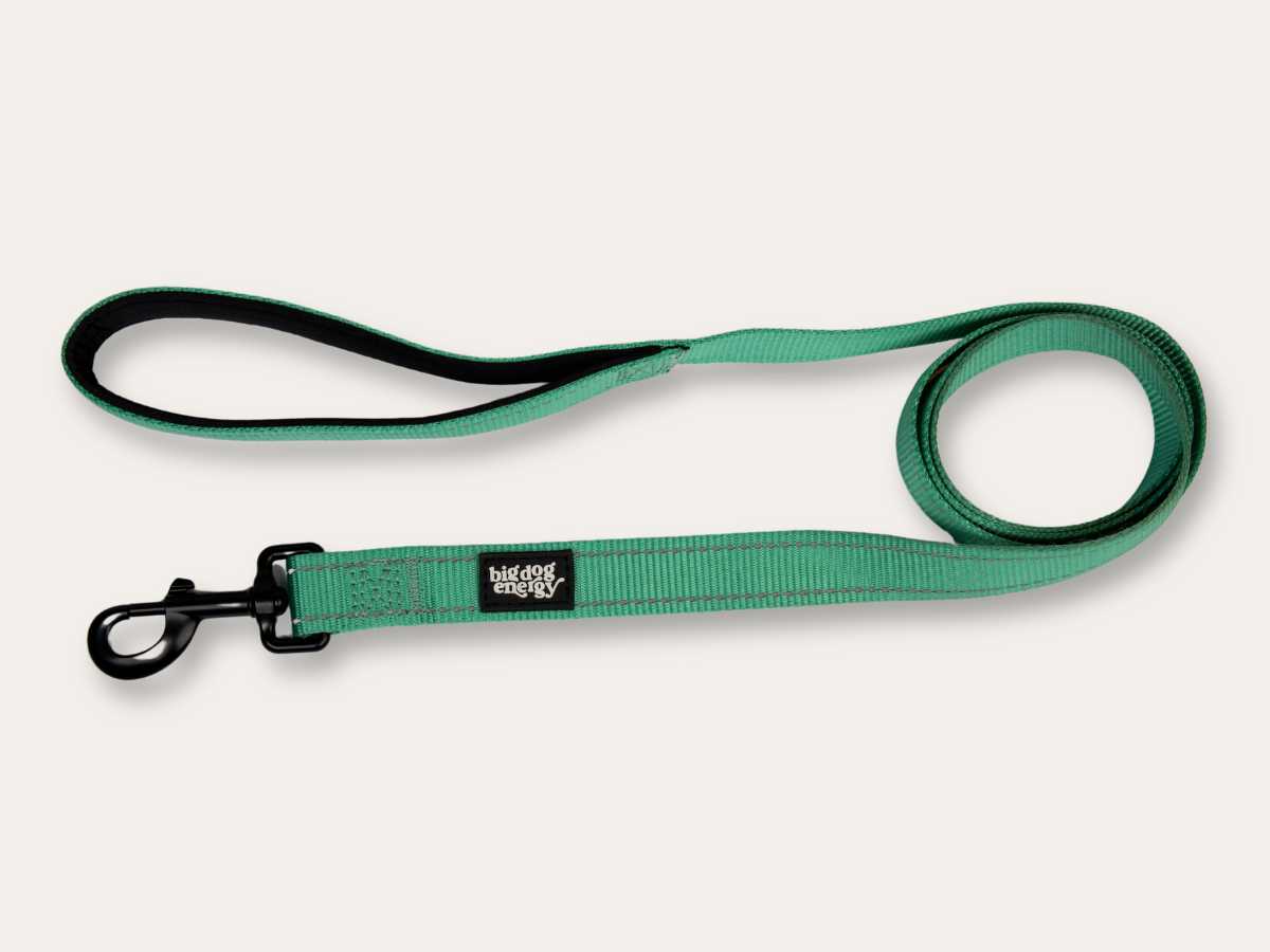 Dog Leash - Turquoise