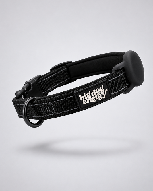 Black dog collar