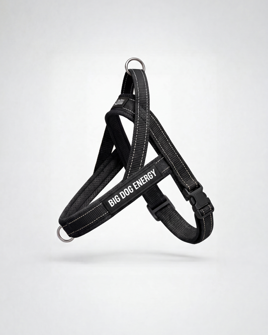 Black dog harness