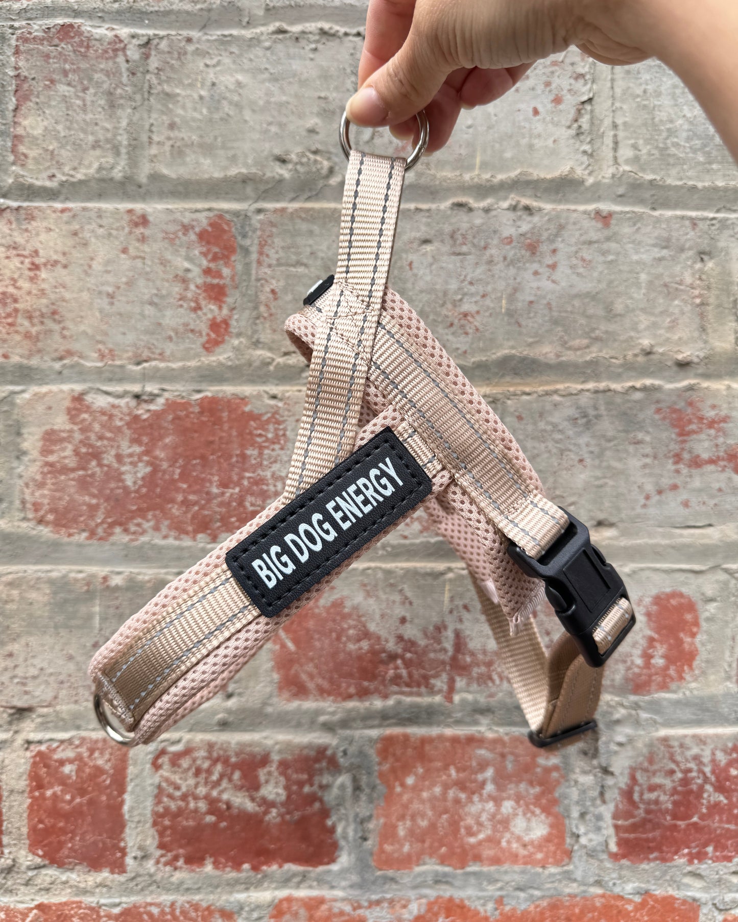 Dog harness in beige