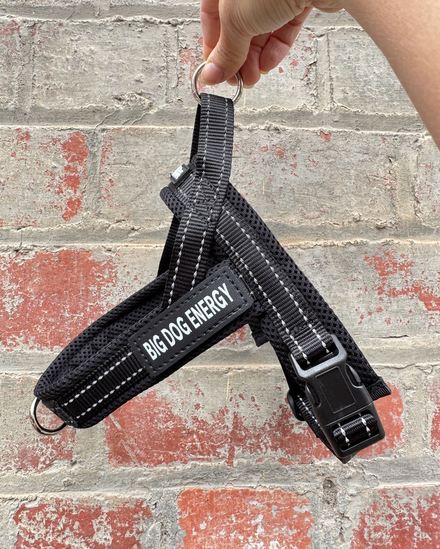 Dog harness in black