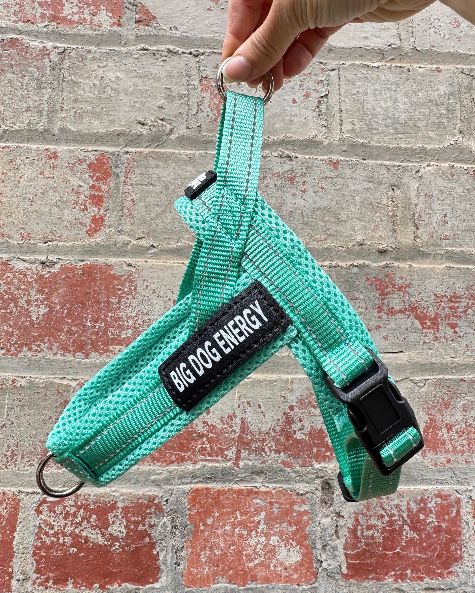Dog harness in turquoise