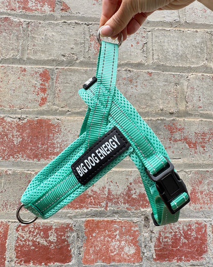 Dog harness in turquoise