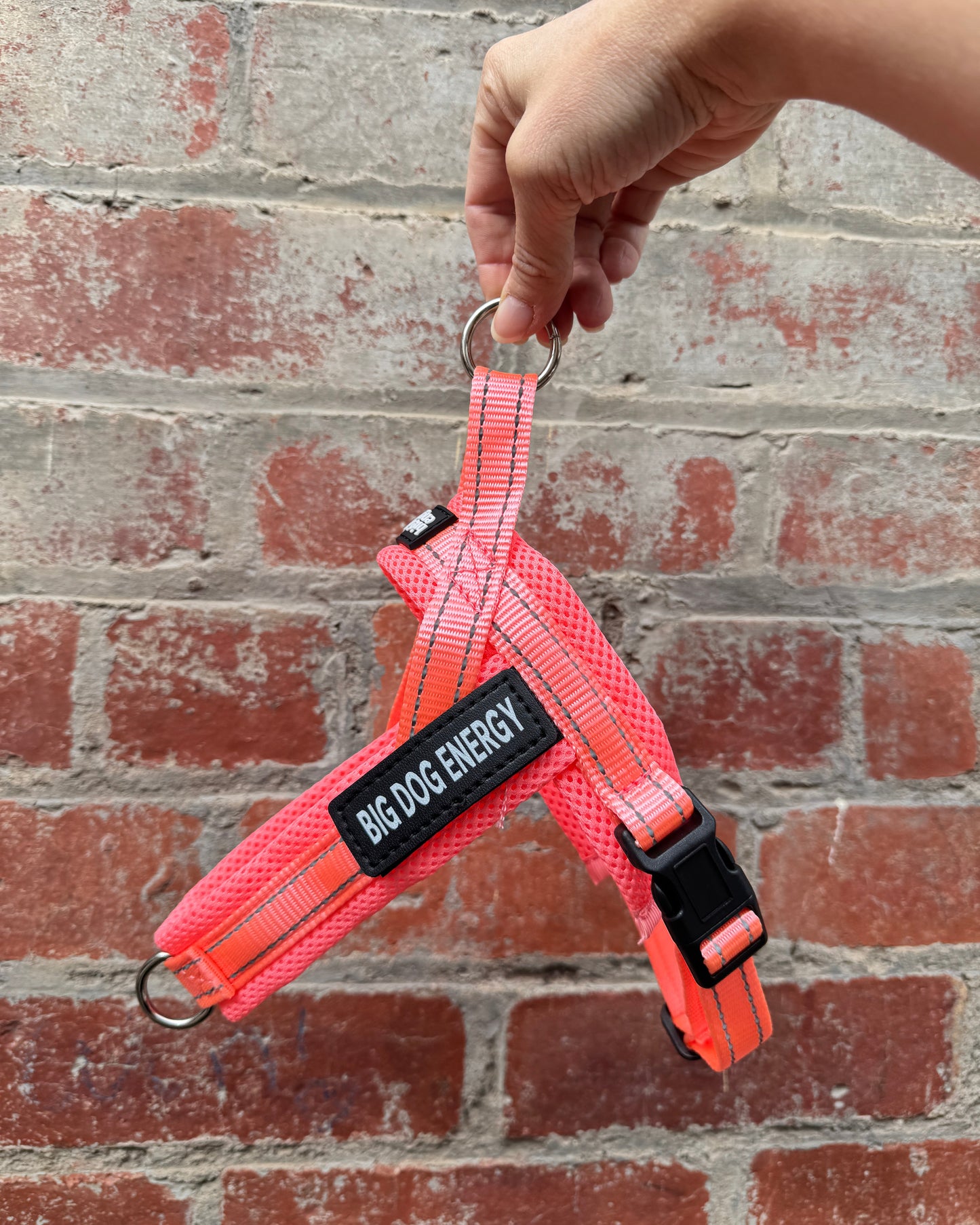 Dog harness light pink