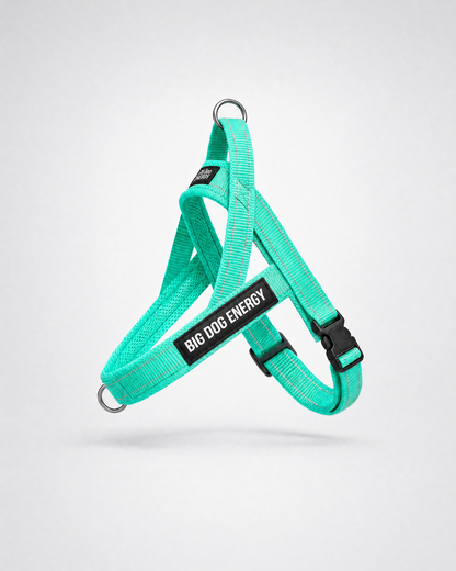 Turquoise dog harness
