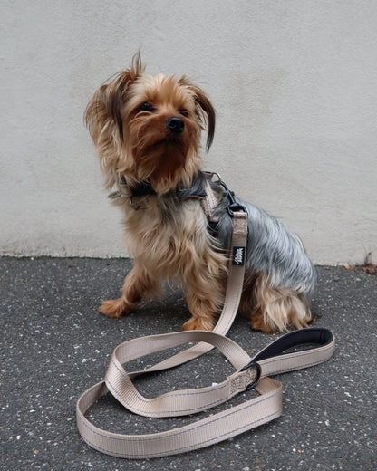 Durable Dog Leash - Neutral Beige