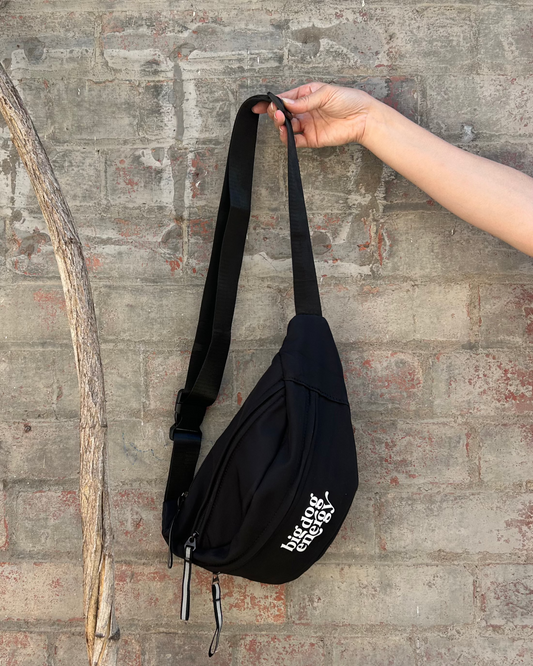 Dog Treat Bag - Bag for Dog Walks