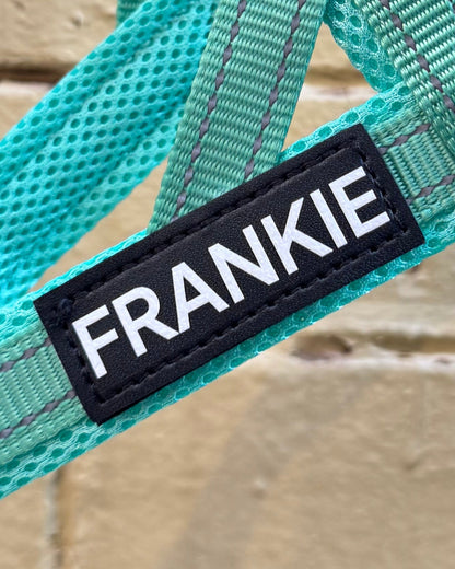 No-Pull Personalised Dog Harness - Turquoise