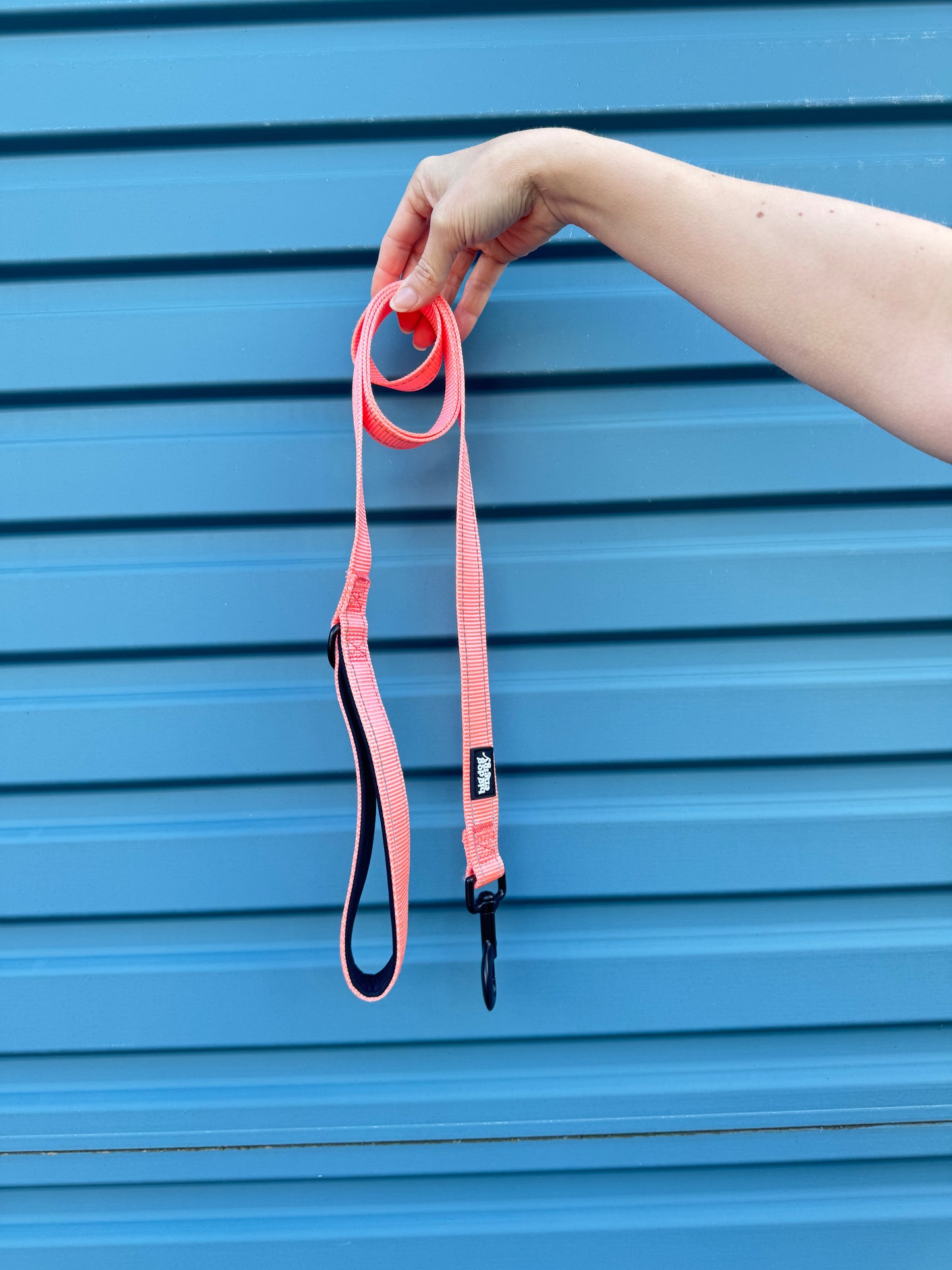 Durable Dog Leash - Pink