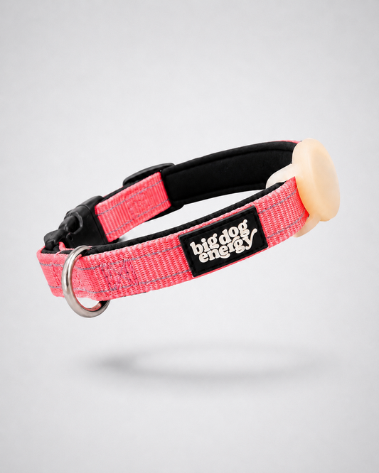 Pink dog collar