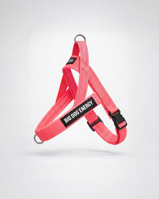 Light pink dog harness
