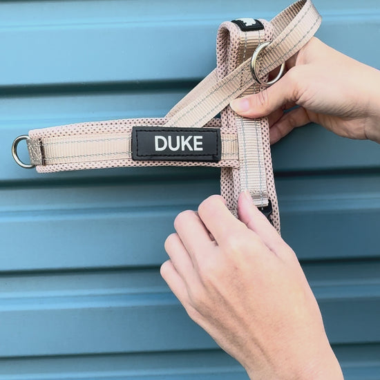 Beige dog harness