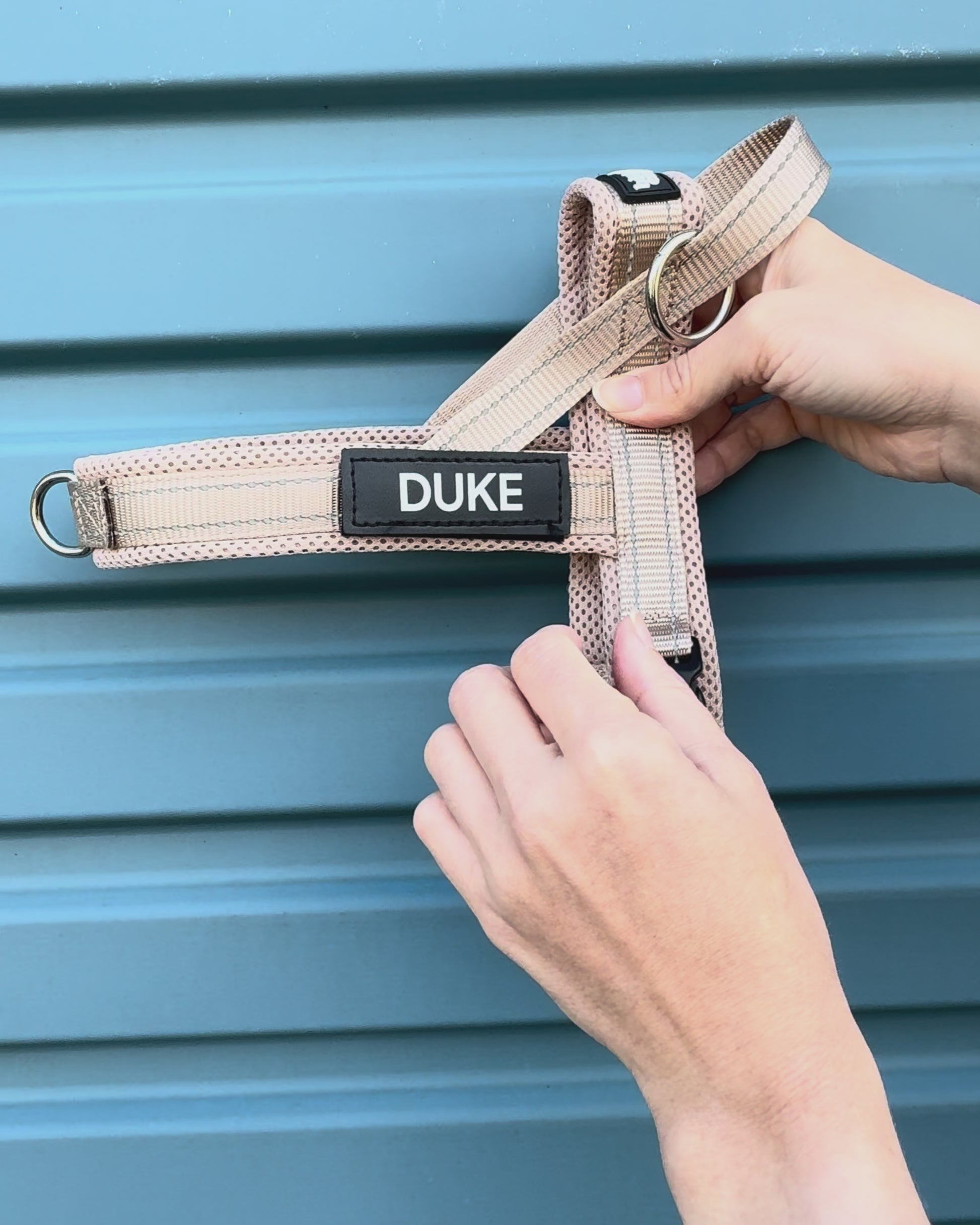 Beige dog harness