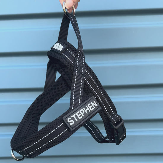 Black dog harness