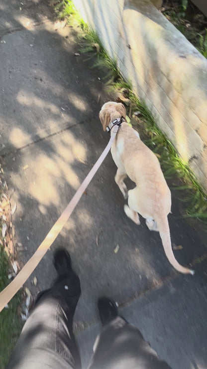 Durable Dog Leash - Neutral Beige